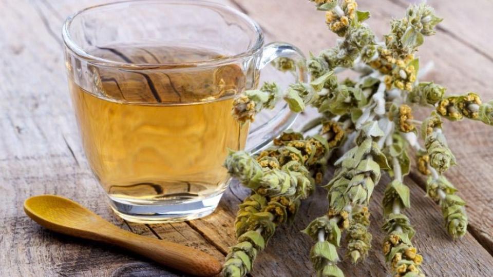 Τσάι του βουνού : οι θρεπτικές του ιδιότητες και η συμβολή του στην αντιμετώπιση του Αλτσχάιμερ