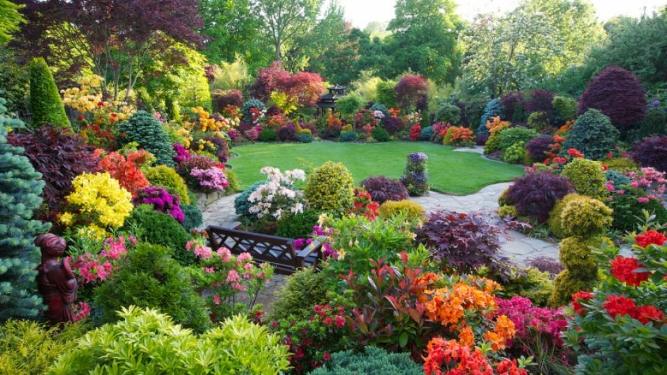 Ιδέες Και Λύσεις Για Τον Κήπο Και Τα Φυτά Σας!