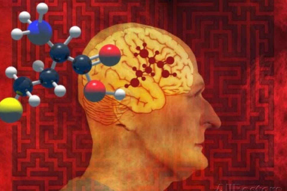 Ο Ρόλος Της Ομοκυστεΐνης Και Των Βιταμινών Στην Άνοια Και Το Αλτσχάιμερ
