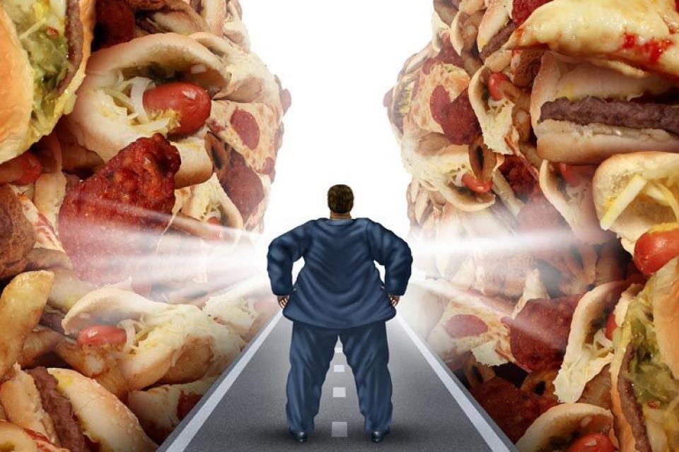 Παχυσαρκία : Τρόπος ζωής και διατροφή 