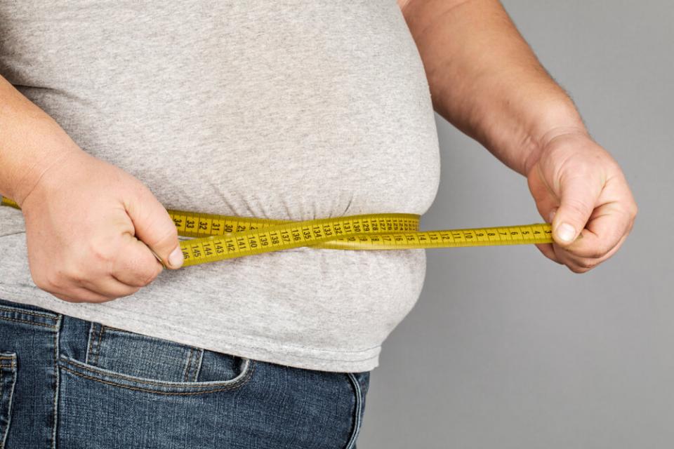 Λίπος : Η αιτία της παχυσαρκίας 