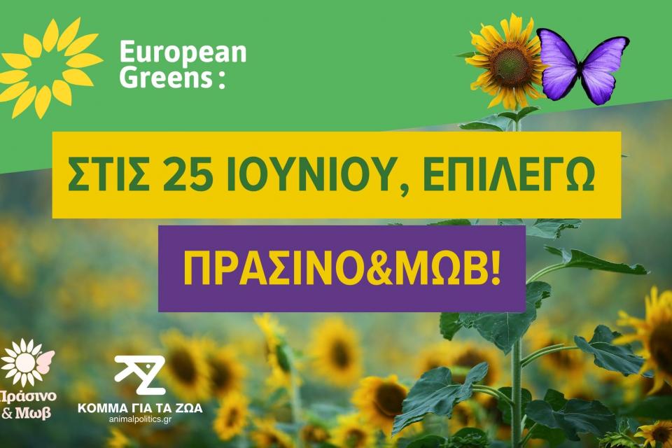 Ευρωπαίοι Πράσινοι: Στις εκλογές, υποστηρίζουμε Πράσινο&Μωβ
